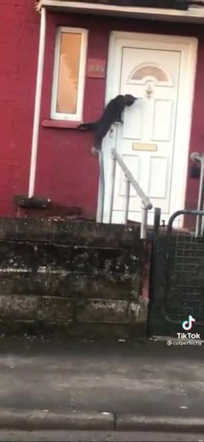 Let him in