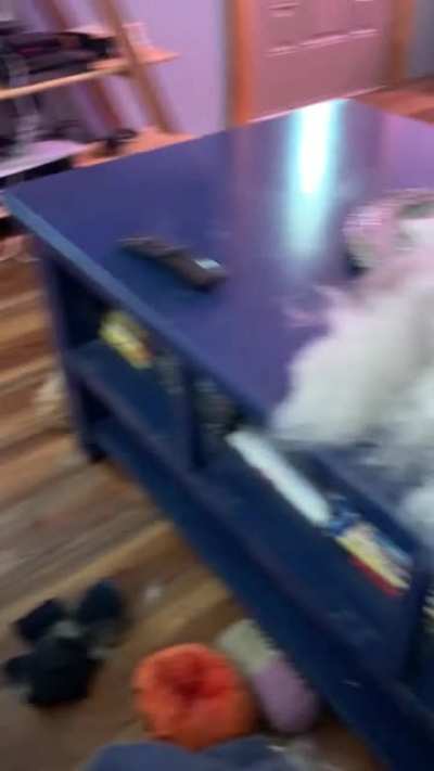 Just a little husky maintenance
