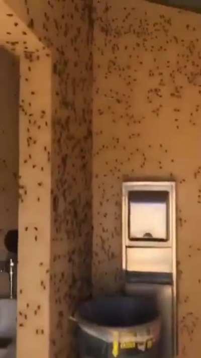 cleanest texas bathroom