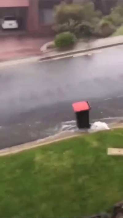 I guess it&rsquo;s time for a new bin.