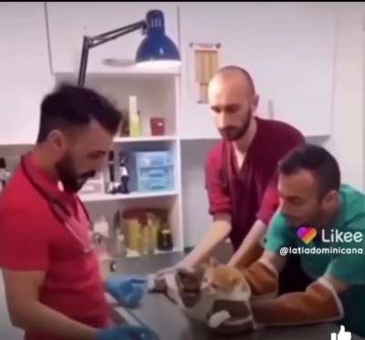 Fuck, AAAA-