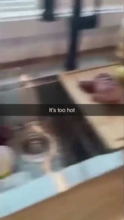 eeeeeaaaaaaa