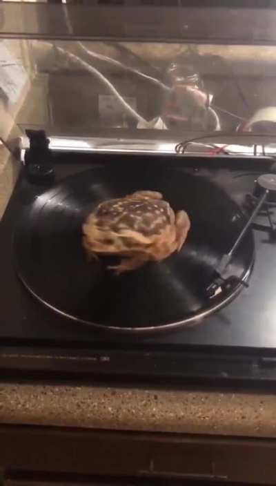 he spin