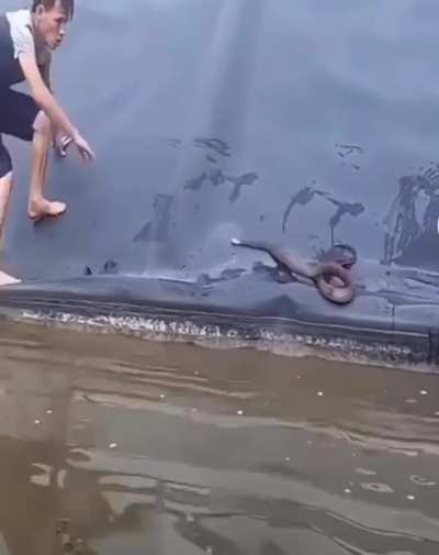 He&rsquo;s tripping on the snakes, I&rsquo;m tripping on the darkness of the water and whatever TF might else be in it. *cringe*