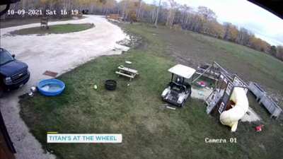 Dog takes Golf for a crash test drive 🤣