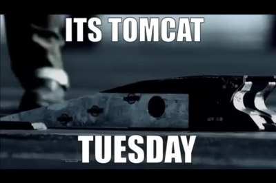 It&rsquo;s Tomcat Tuesday