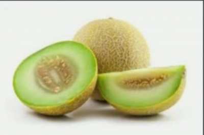 Cantaloupe