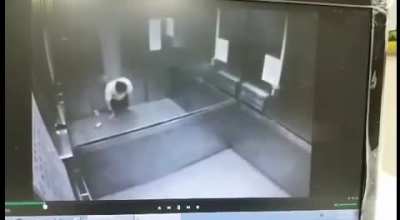 Chinese elevators... man.