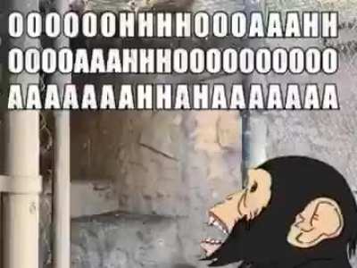 upvote para 5 subs