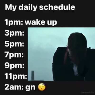 this is not my daily schedule