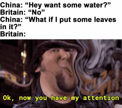 I receive leaves, You receive a opium crisis