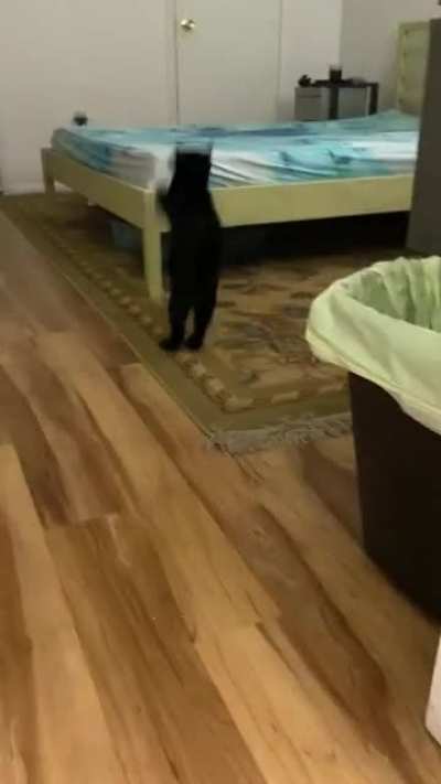 He was trying to scare me while I used the toilet, and didn&rsquo;t like when the tables turned