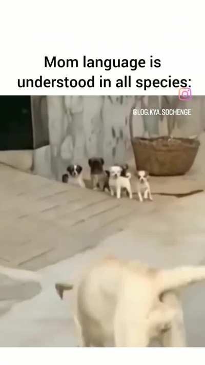 Fear of Mom