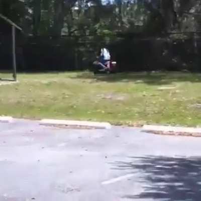 Carro muito pica