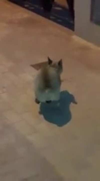 Hazte una gayola mi cuco😍😍