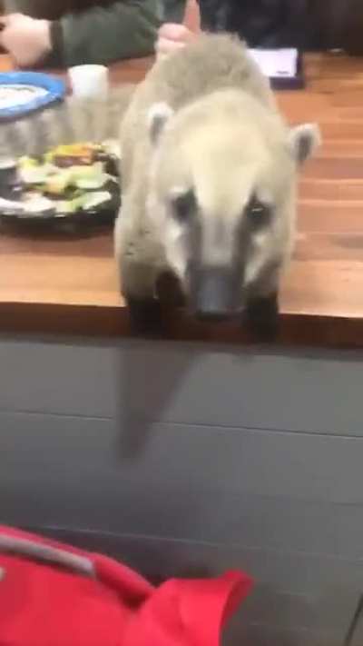Dinner Fail
