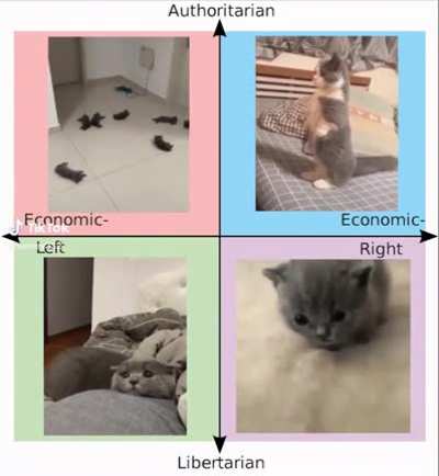Cate