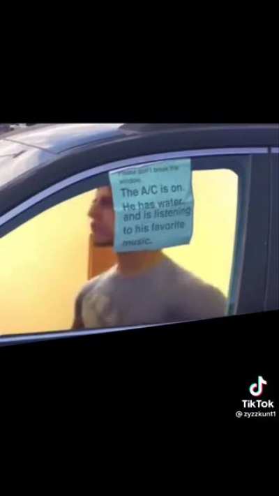 &ldquo;AC is on, he has water&hellip;&rdquo; transparent cut-out