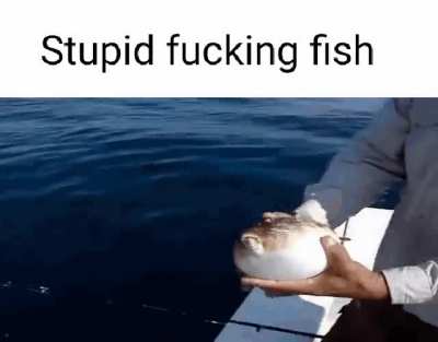 Rule