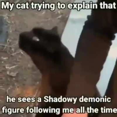 m̵̯̳̰̦̅͊ḛ̵̝͚̩͓̻̖̌̊ơ̶̢͖̘̰̠̦̹͌̈́́͋̕ẁ̸͈͒͐͝ ̷̤̹̣̬̃̅̓m̸̨̻̮̥̮͉͂̽͜ẻ̶̮̮̙͎̠͒͗̈́̏̏ͅǒ̸̝͙̤̈̃̿͑͗̈̅ͅw̸̧̨̛̠̭̻̭͓̖̬͇̆͐͊͝