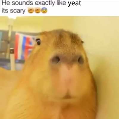 i thinlk he sounds