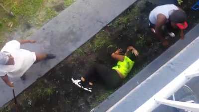 1 Woman vs. Baseball Bat, Crock Pot, and Pitbull