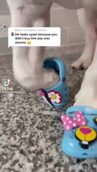 sheesh