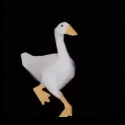 Duqq
