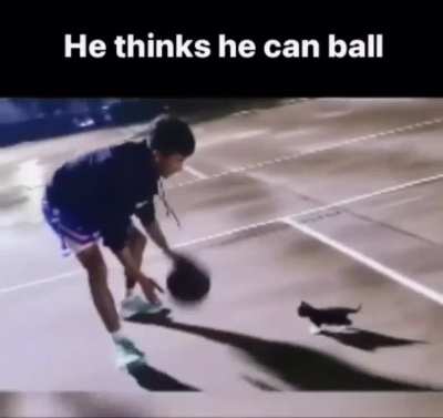 Wunk etball