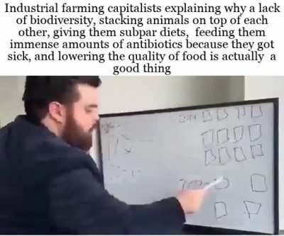 I read a book on how the bees are suffering and I&rsquo;m quite upset