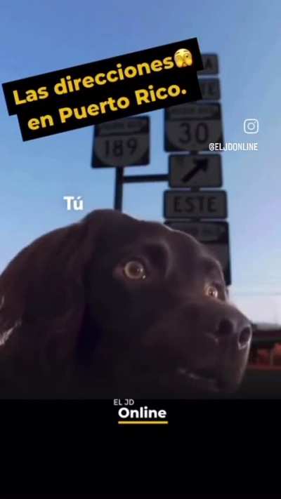 Cuando pides una direcci&oacute;n en PR🤣