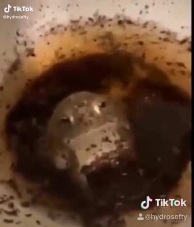 Not a scream but perfectly cut