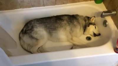 Ready for a bath