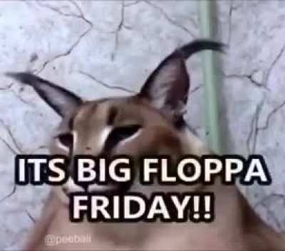 Flop for no hoe