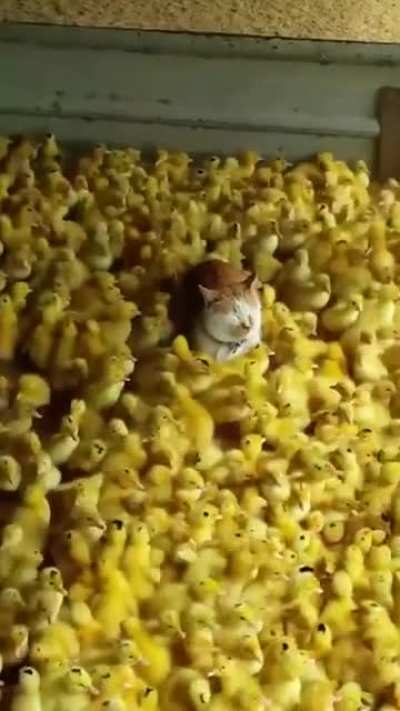 Релаксация