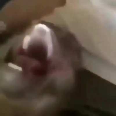 .....