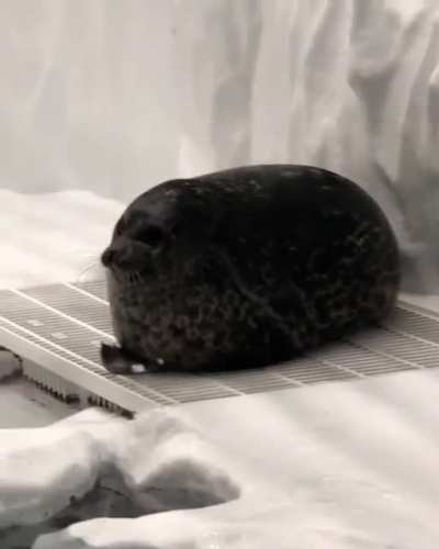 Take a look at this ROUNDSTER