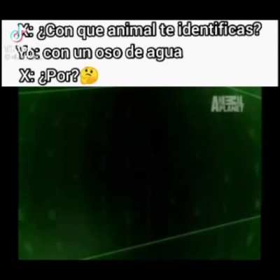 Si