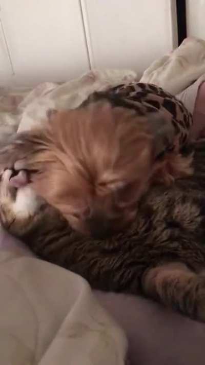 It&rsquo;s all love until he smells her butt