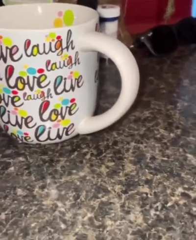 love laugh live