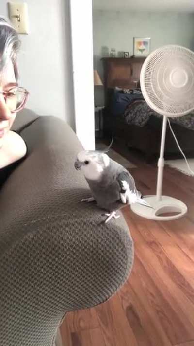 It&rsquo;s the little tail flare for me