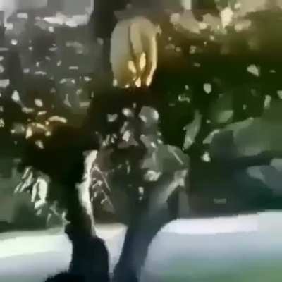 NOOOOOOO