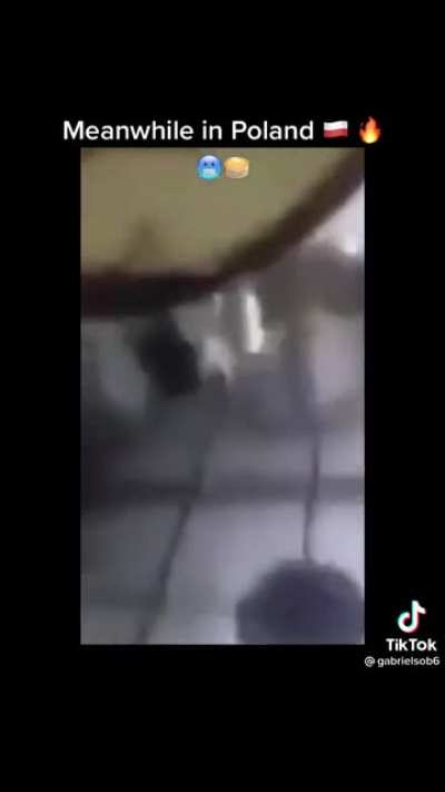 Stolen from TikTok like a true Romanian