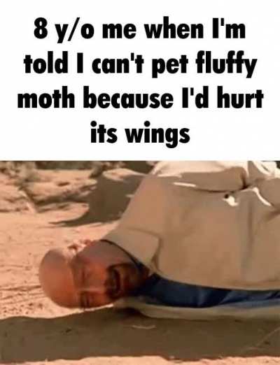 heart broken, destroyed even