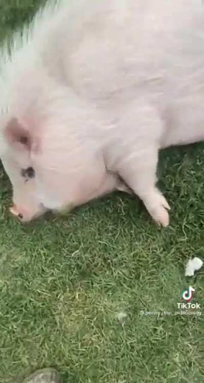 Cute