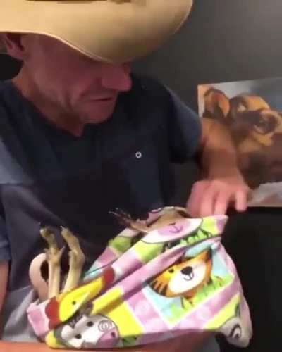 Baby roo