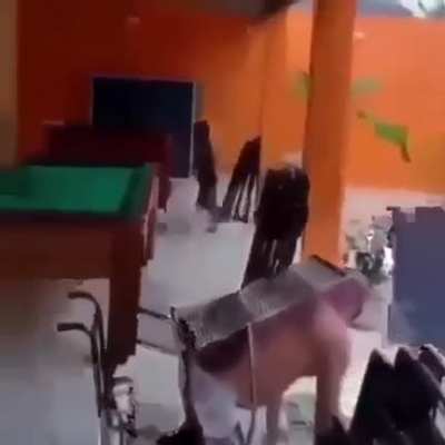 Mlk filha da puta