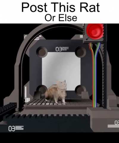 post this rat
