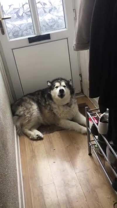 He likes this spot