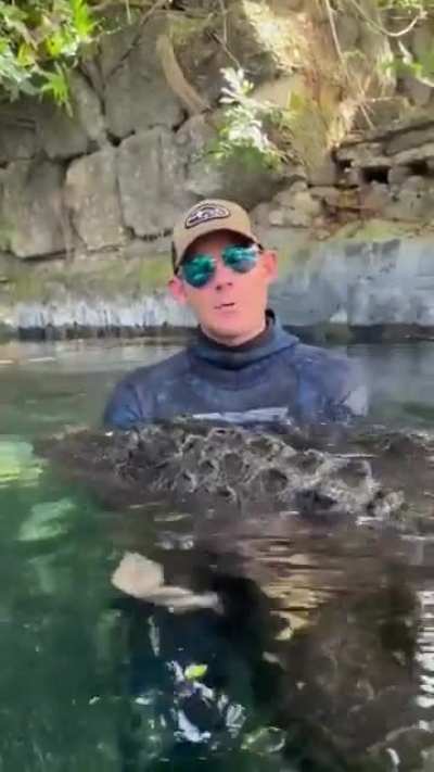 Dude explains why alligator won't kill him
